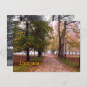 Briefkaart van Ljubljana (Voorkant / Achterkant)