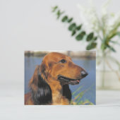 Briefkaart van Longhaire Dachshund (Staand voorkant)