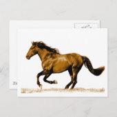 Briefkaart van looppaarden (Voorkant / Achterkant)