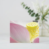 Briefkaart van Lotus flower (Staand voorkant)