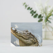 Briefkaart van Louisiana Alligator (Staand voorkant)