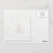 Briefkaart van Meerkcat (0447) (Achterkant)