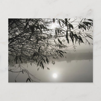 Briefkaart van Mist en Shadow