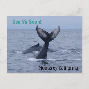 Briefkaart van Monterey California Whale Tail