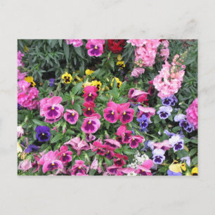 Briefkaart van mooie tuin