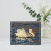 Briefkaart van mooie Zwan en blauw water (Staand voorkant)