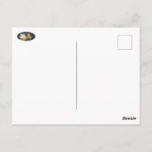 Briefkaart van mooie Zwan en blauw water (Achterkant)