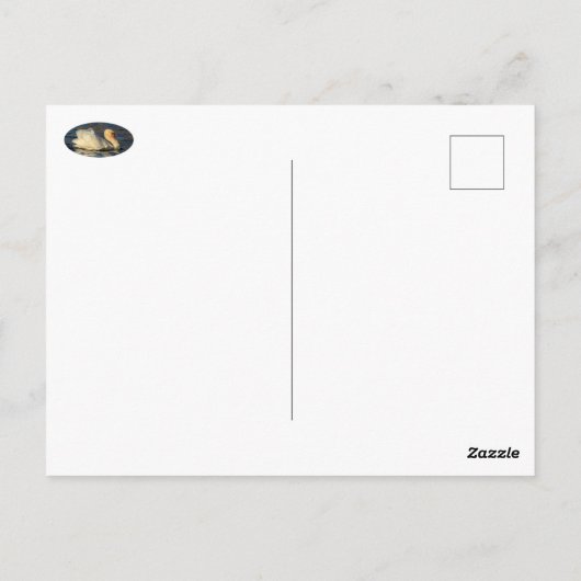 Briefkaart van mooie Zwan en blauw water (Achterkant)