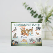 briefkaart van Oklahoma 19 (Staand voorkant)