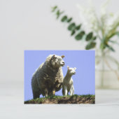 Briefkaart van ooien en lammeren (Staand voorkant)