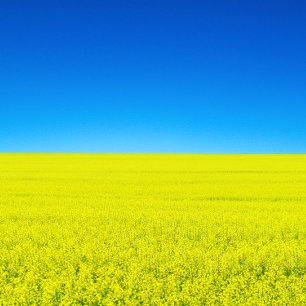 Briefkaart van oorlog en vrede