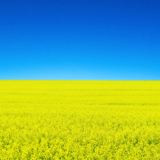 Briefkaart van oorlog en vrede