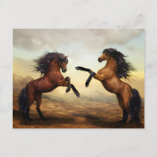 briefkaart van opfokpaarden