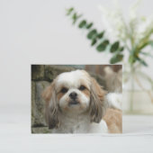 Briefkaart van ovens (Staand voorkant)