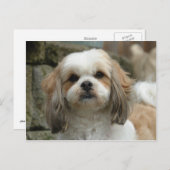 Briefkaart van ovens (Voorkant / Achterkant)