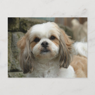 Briefkaart van ovens