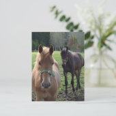 Briefkaart van paarden (Staand voorkant)