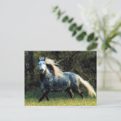 Briefkaart van paarden (Staand voorkant)