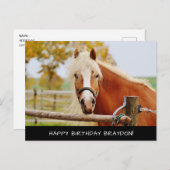 Briefkaart van paardenvogels (Voorkant / Achterkant)