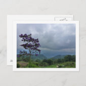 briefkaart van Paarse bloemen (Voorkant / Achterkant)