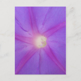 briefkaart van Paarse bloemen