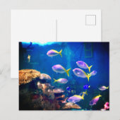 Briefkaart van Paarse en gele vis (Voorkant / Achterkant)