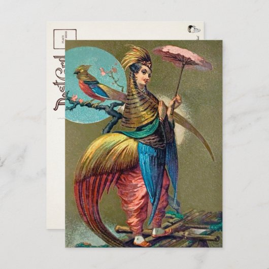  Briefkaart van Parrot (Voorkant / Achterkant)