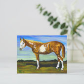 Briefkaart van pinto/Paint Horse (Staand voorkant)
