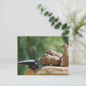 Briefkaart van Prairie Dog Soldaten (Staand voorkant)