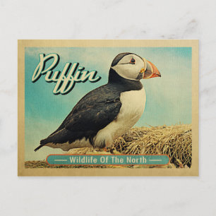 Briefkaart van Puffin Bird - Wilde dieren in het n