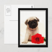 Briefkaart van puppy (Voorkant / Achterkant)