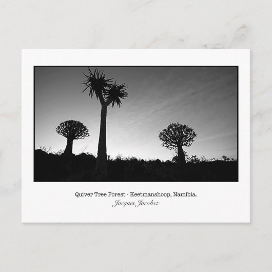 Briefkaart van Quiver Trees (Voorkant)