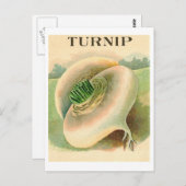 briefkaart van raapzaadpakket (Voorkant / Achterkant)