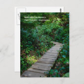 Briefkaart van Rainforest Boardwalk (Voorkant / Achterkant)