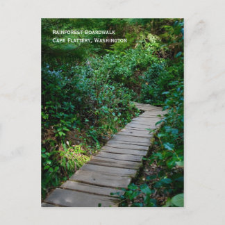 Briefkaart van Rainforest Boardwalk