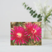 Briefkaart van Red Fig Marigold (Staand voorkant)