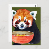 Briefkaart van Red Panda Eating (Voorkant / Achterkant)