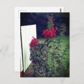 Briefkaart van rode bloemen (Voorkant / Achterkant)
