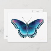 Briefkaart van rode Paarse vlinder (Voorkant / Achterkant)