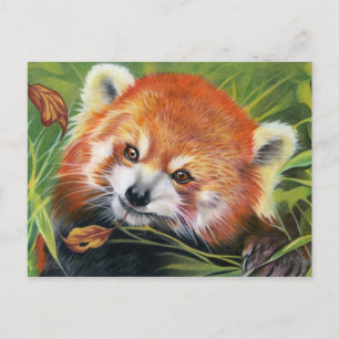 Briefkaart van rode Panda voor dierlijk kunstwerk