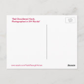 Briefkaart van rode schouderhaai (Achterkant)