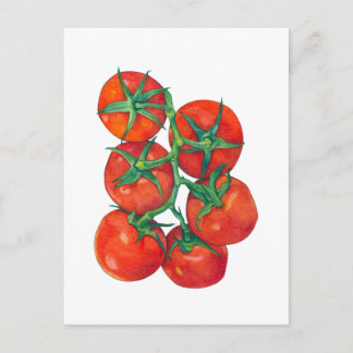 Briefkaart van rode tomaten