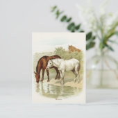 briefkaart van schattige paarden (Staand voorkant)