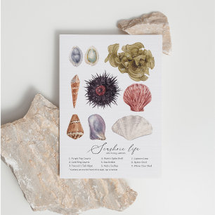 Briefkaart van Seashore Life