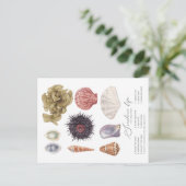 Briefkaart van Seashore Life (Staand voorkant)