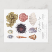 Briefkaart van Seashore Life (Voorkant)