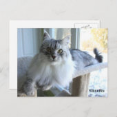 Briefkaart van Siberische kat Breed (Voorkant / Achterkant)