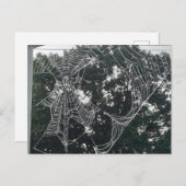 briefkaart van spinneweb (Voorkant / Achterkant)