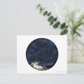 Briefkaart van Stargazer Cat (Staand voorkant)