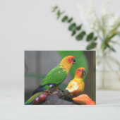 Briefkaart van tropische vogels (Staand voorkant)